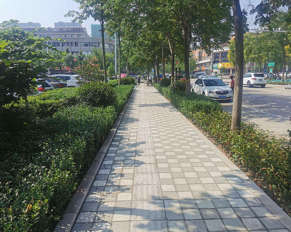 高新區道路綠化工程