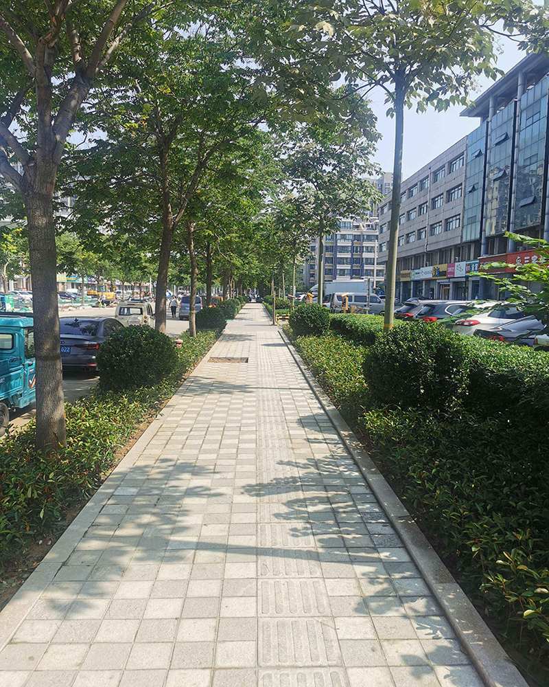 高新區道路綠化工程