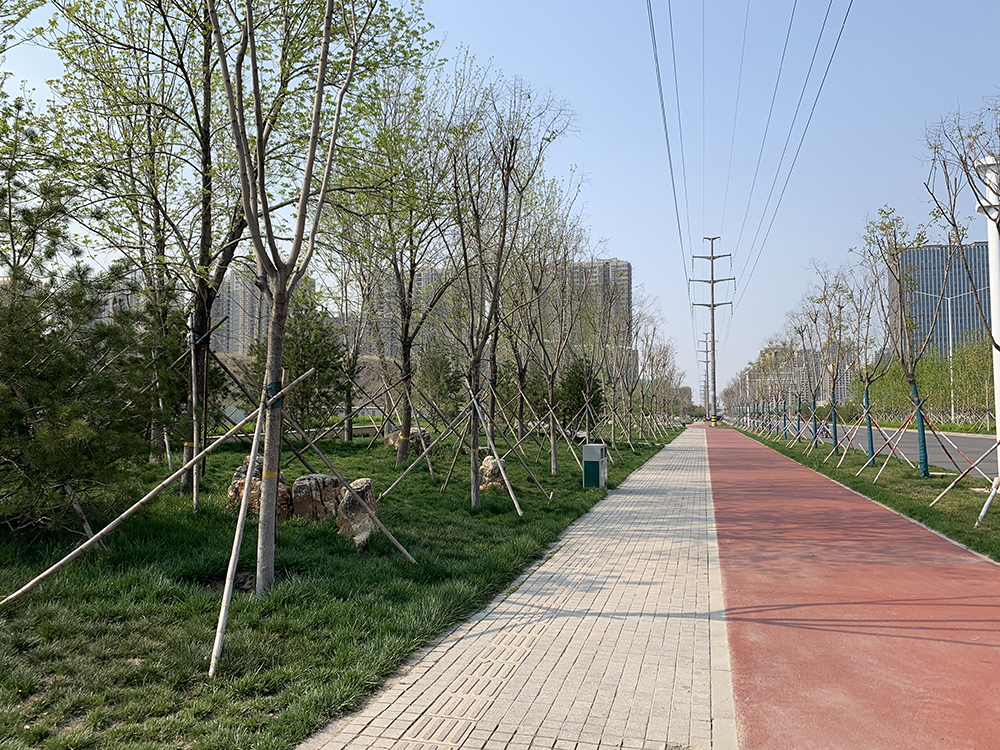 高新區道路景觀綠化工程